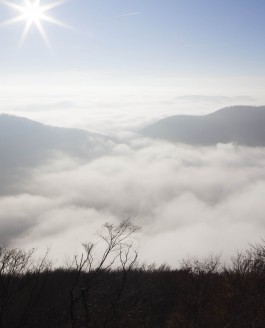 Multimedia: ‘Alb-Träume – Dreamy Alb Mountains’