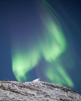 Arktis, Polarlicht, Vollmond