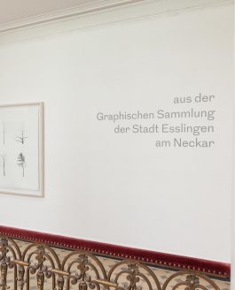 Villa Merkel: Graphische Sammlung