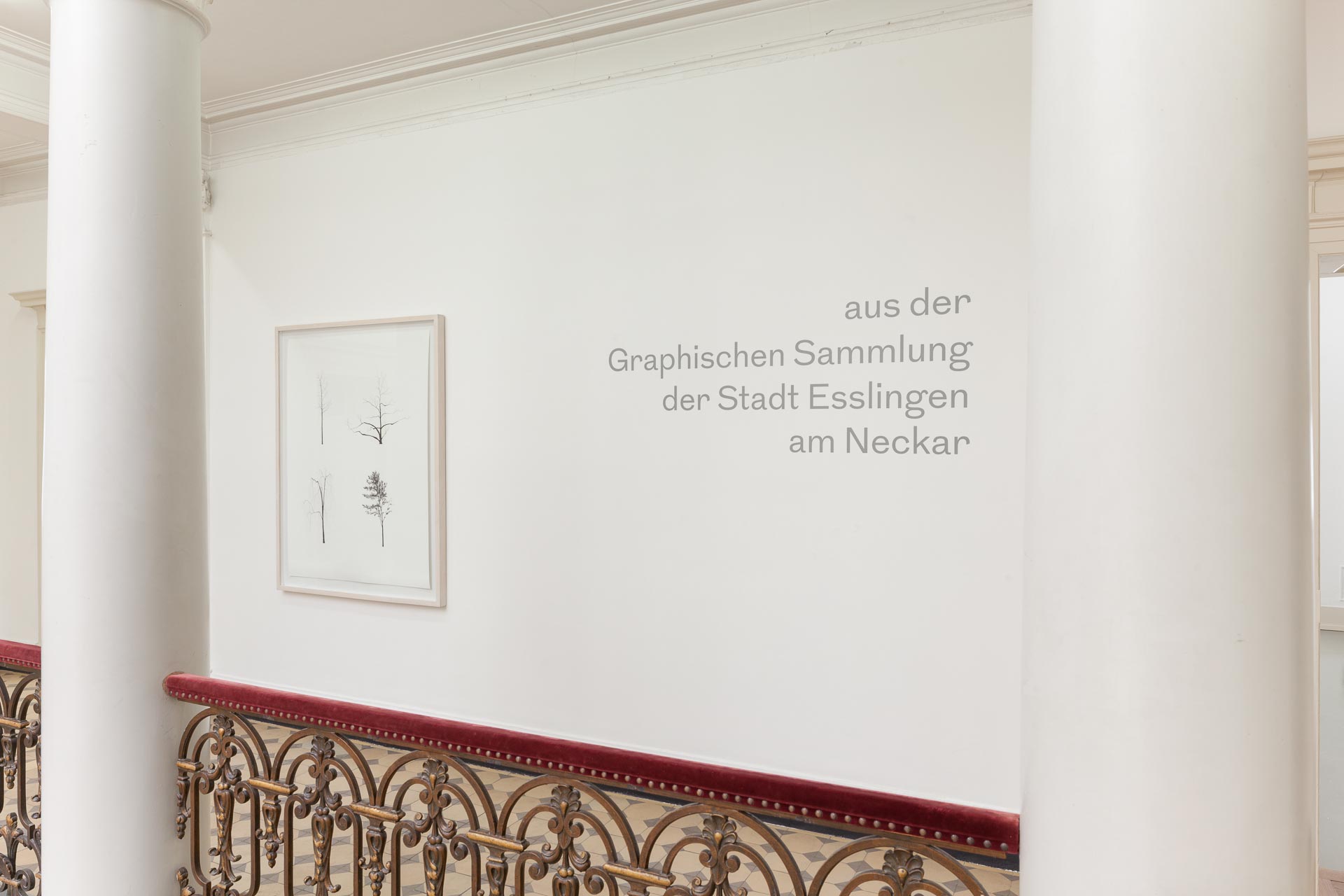 Museumsfotografie Villa Merkel, Graphische Sammlung