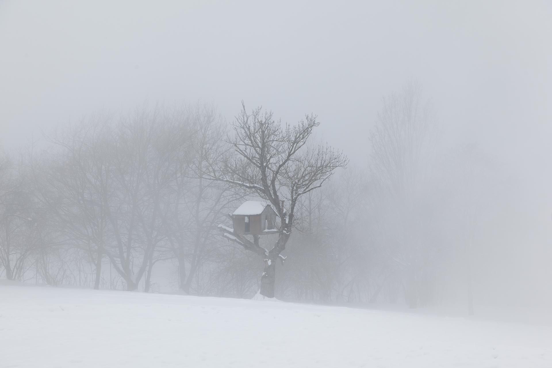 Baumhaus-Fotografie. Das Baumhaus im Schnee ist mein Sinnbild für den langen Winter